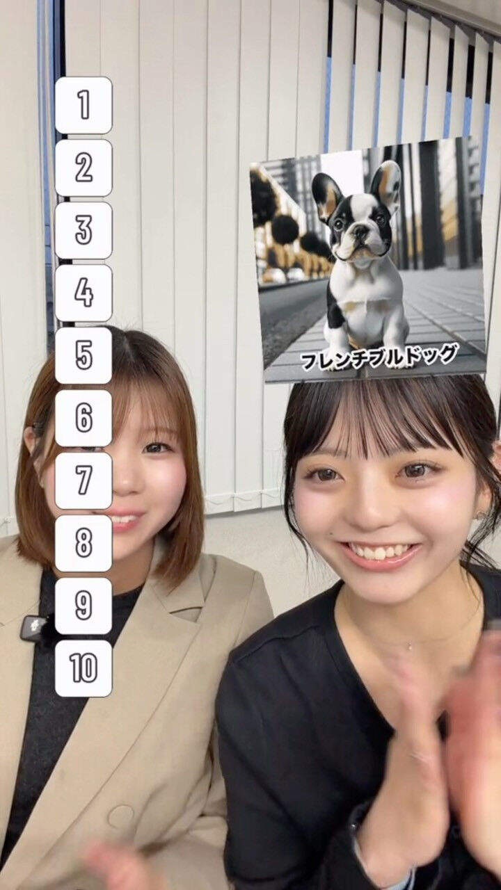 好きな犬ランキング🐶💭